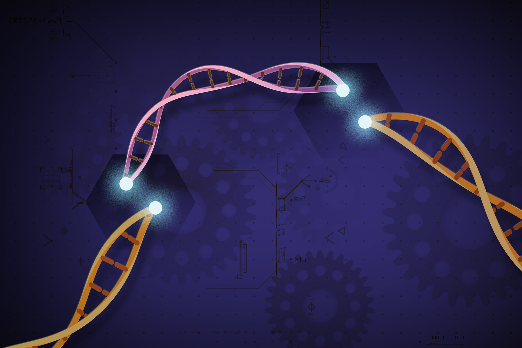 Ostrożność zalecana przy stosowaniu technologii edycji genów CRISPR